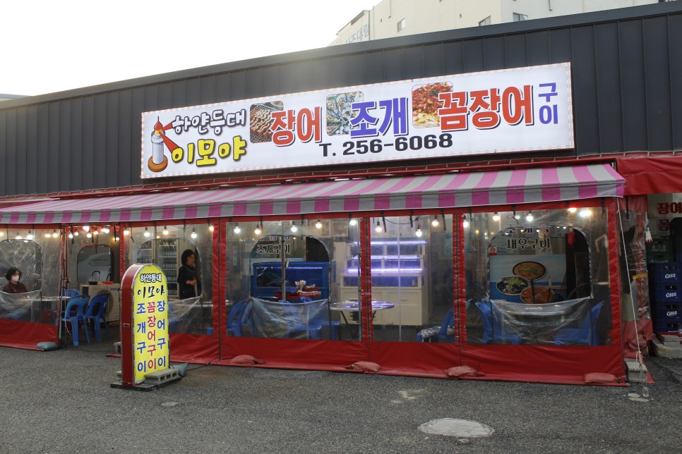 하얀등대이모야 이미지