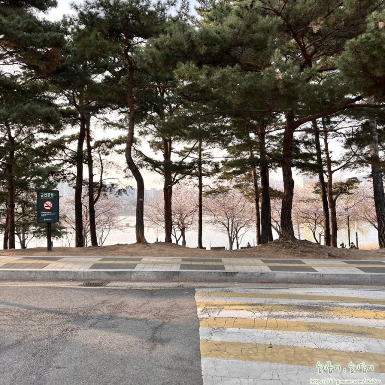 예스노스튜디오 이미지
