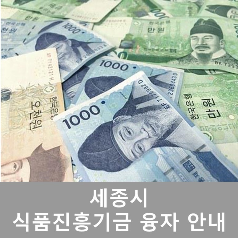 진흥식품 이미지