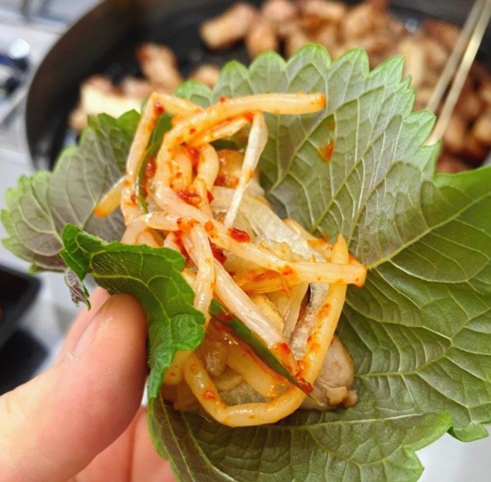 돈모닝파동점 이미지