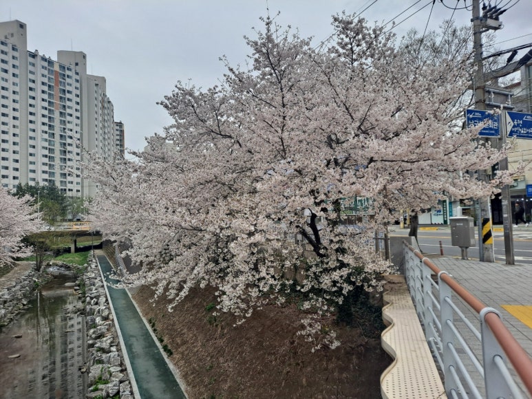 두끼울산대점 이미지