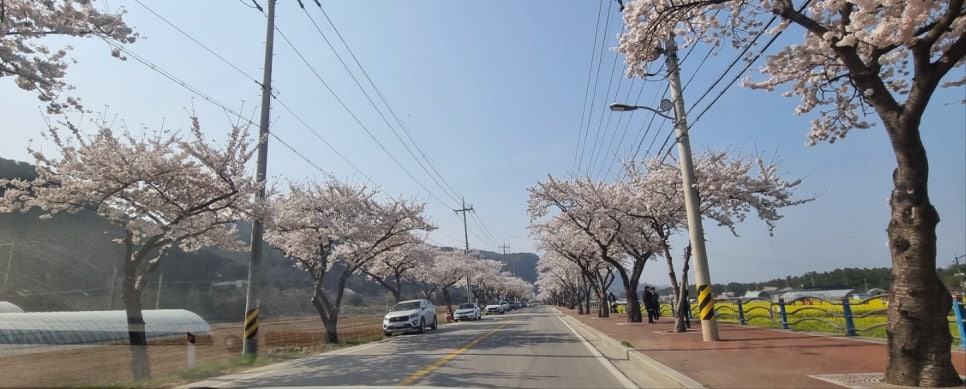 상맹방1리 이미지