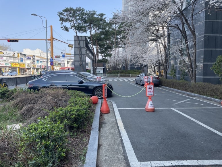 네일,온리 이미지