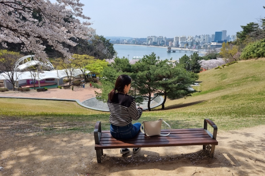 해맞이분식 이미지