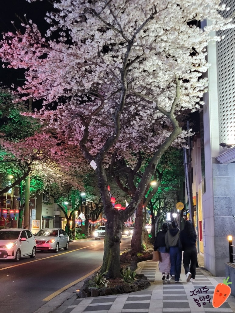 유창호횟집 이미지