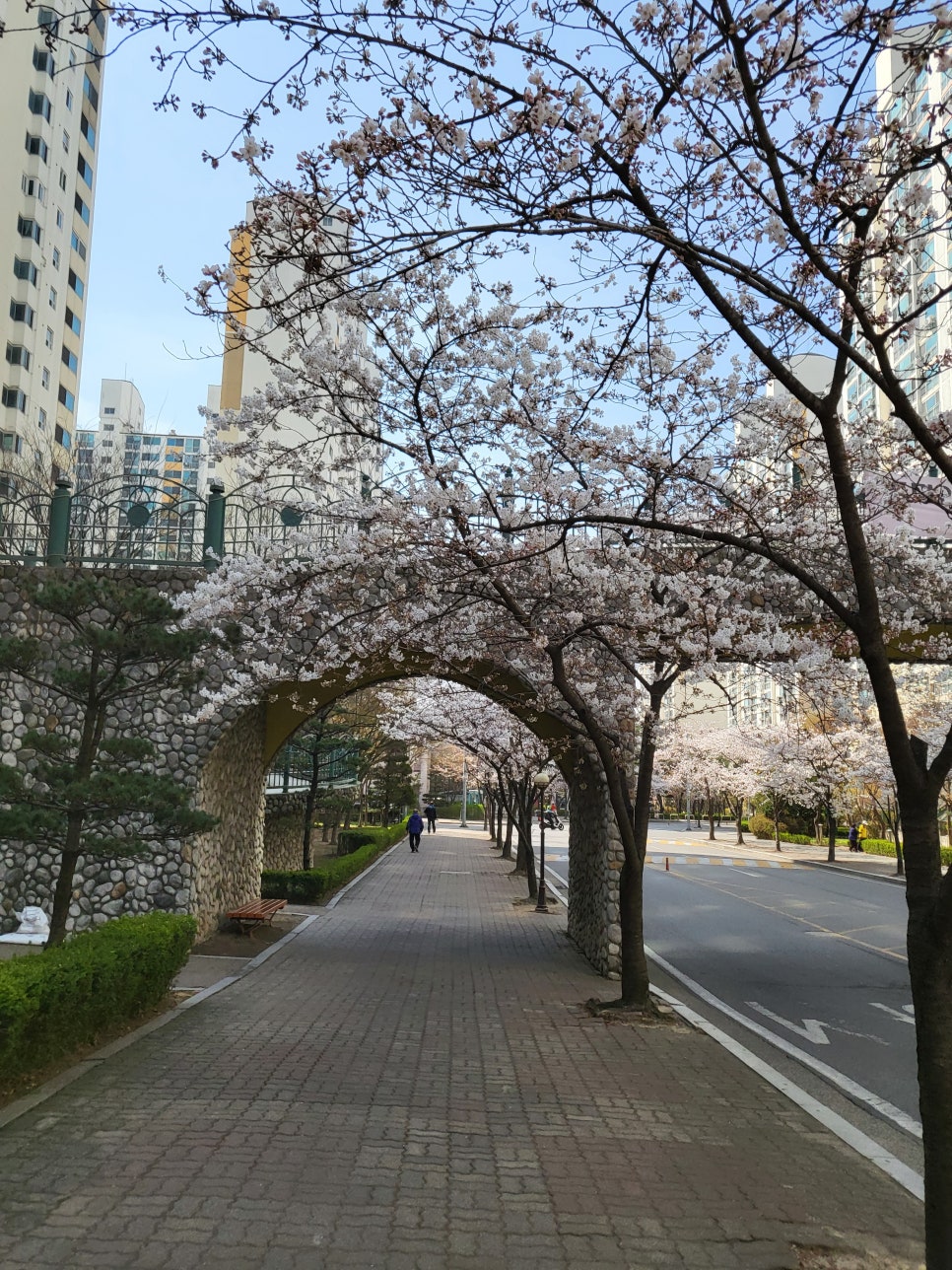 샴푸노래마을 이미지