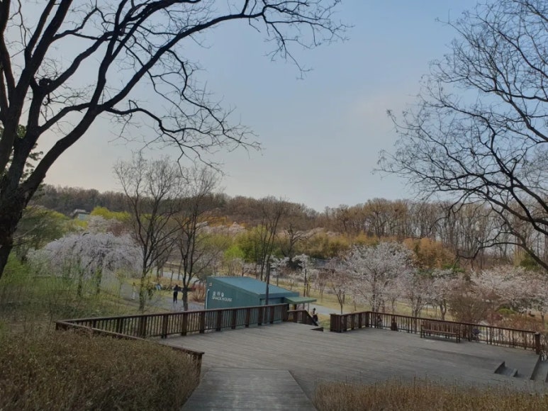 북서울꿈의숲 유아숲체험원 이미지