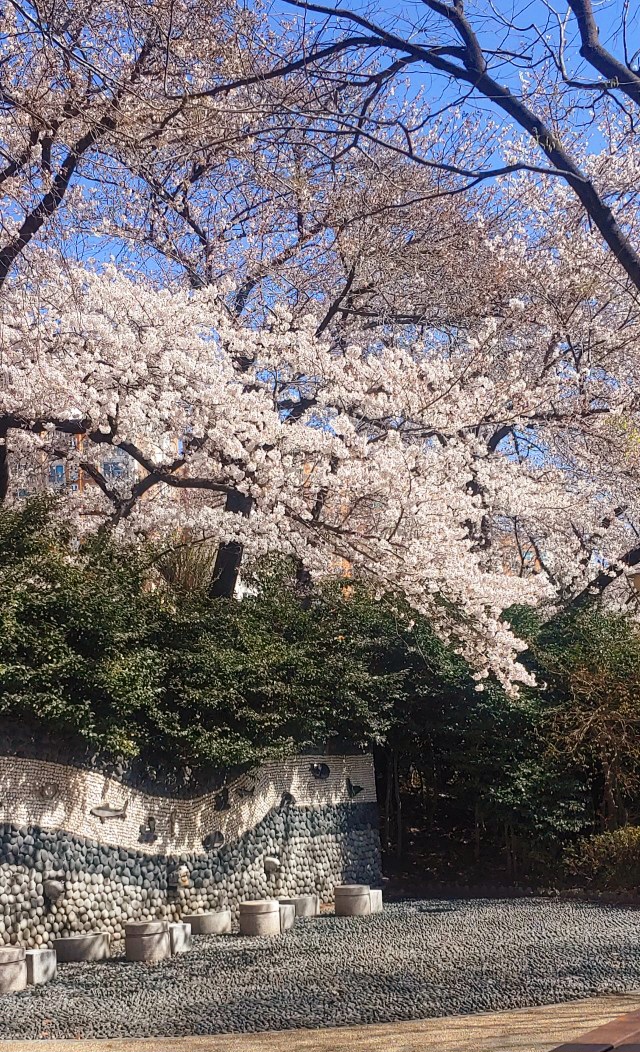 구위커피 이미지