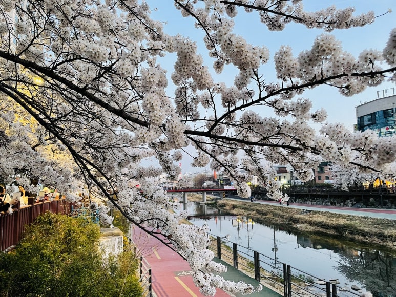 숭미자동차주 이미지