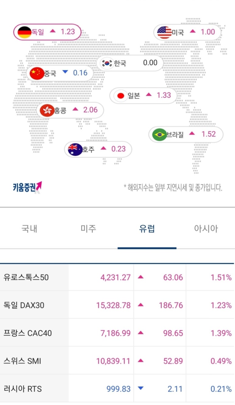 화인칩스 이미지