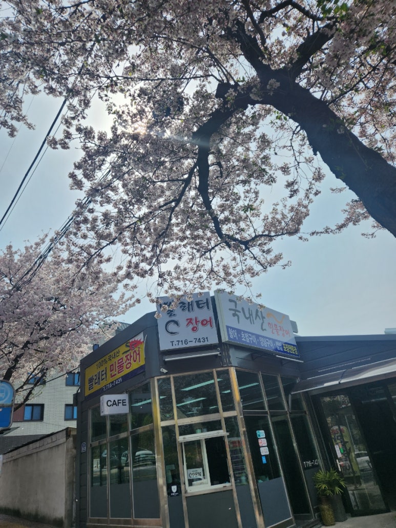 빨래터민물장어 이미지