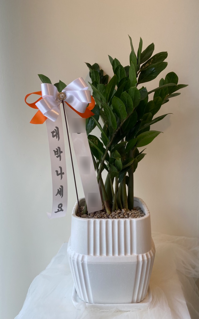 미묘,花 이미지