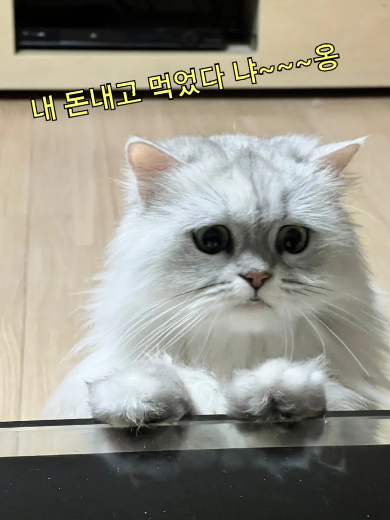 석산민물 이미지