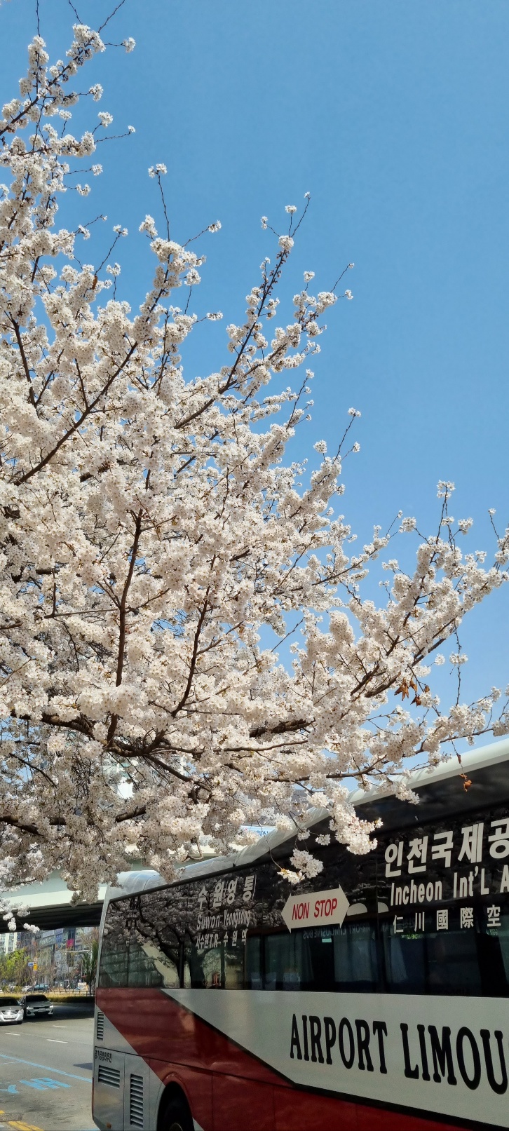 연세우유수원 이미지