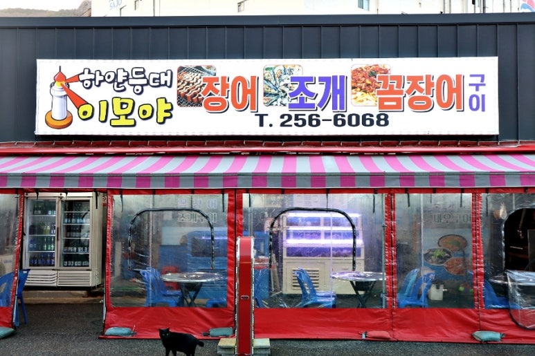 하얀등대이모야 이미지