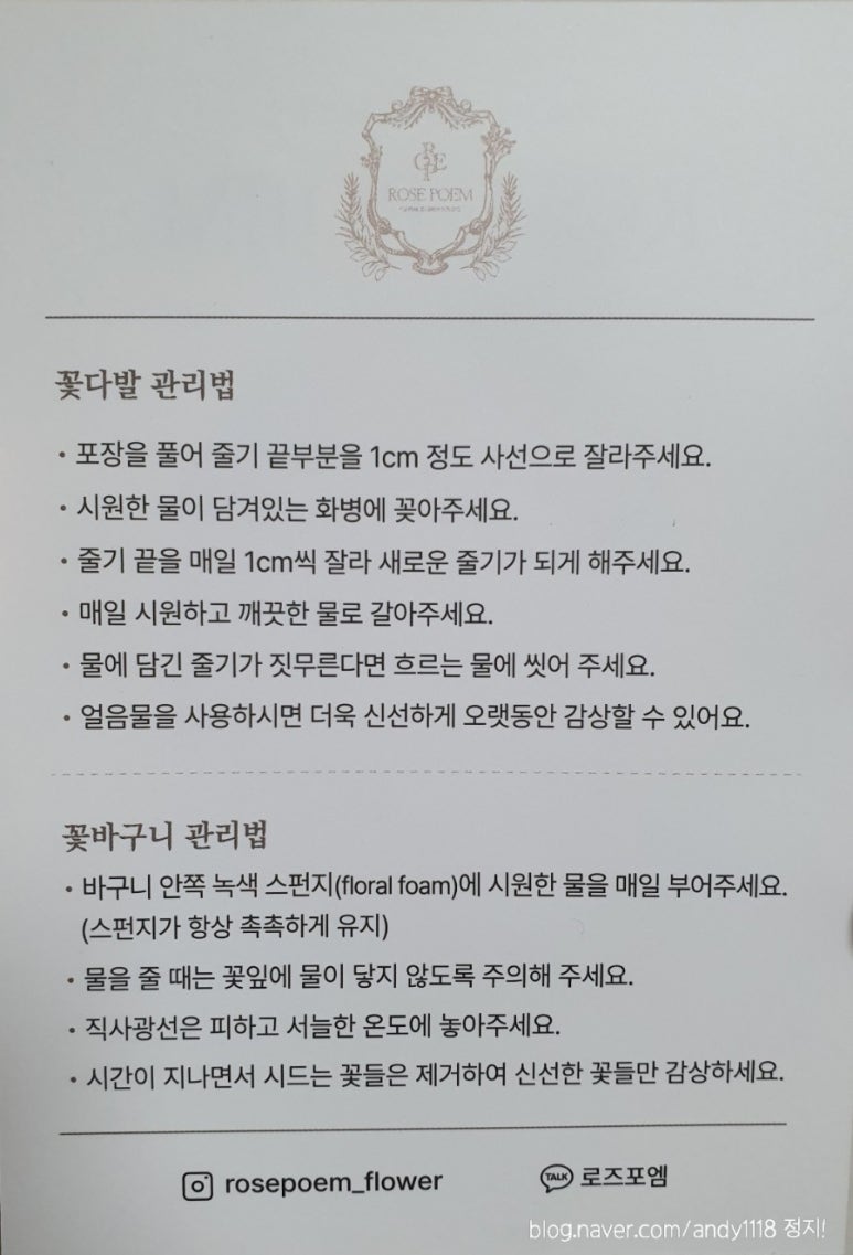 로즈포엠 이미지