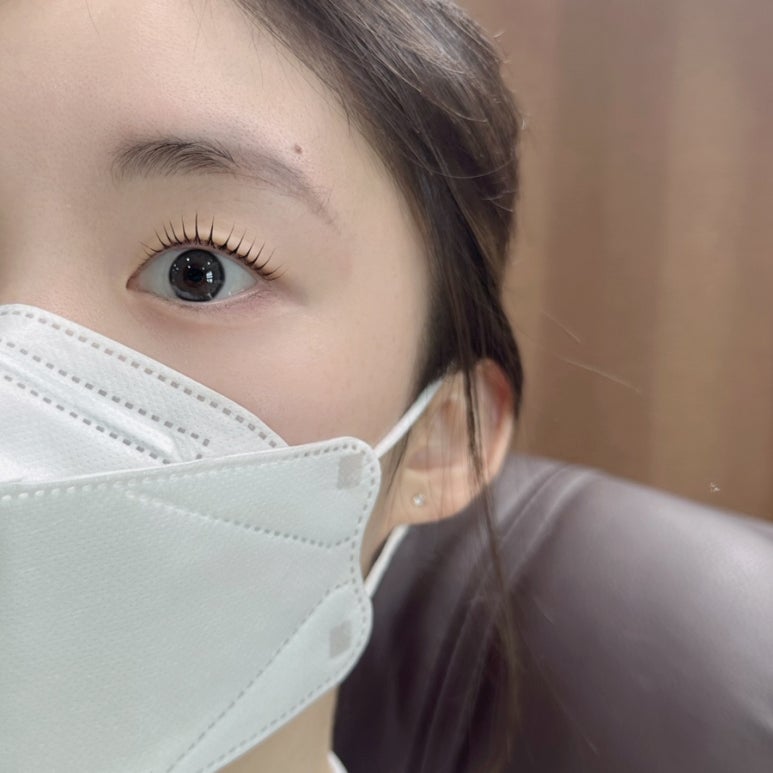 제주솔 이미지