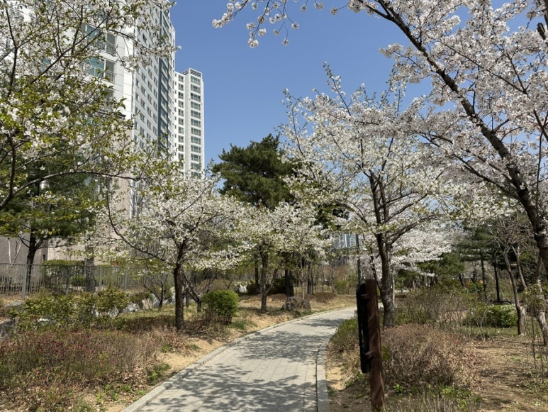 연세키즈카페 이미지