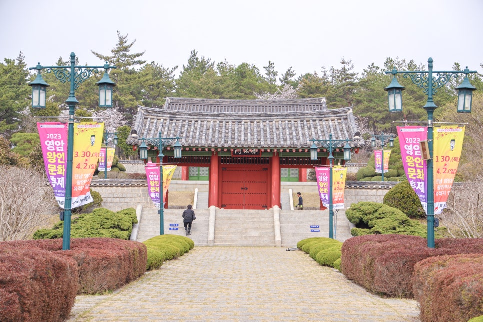 신난파 이미지