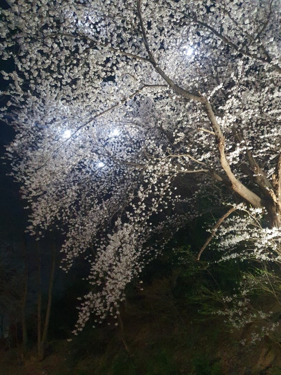(주)현대관광 이미지
