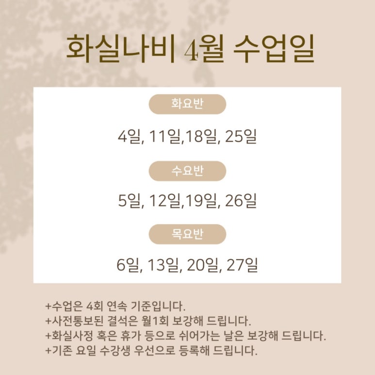 민화화실나비 이미지