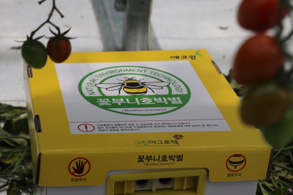 웅이네 온라인 이미지
