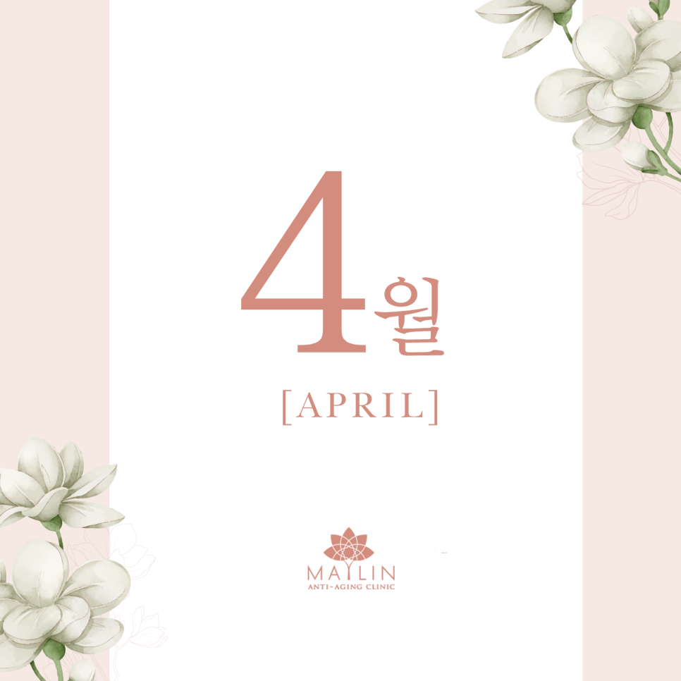 메이린(MAYLIN) 이미지