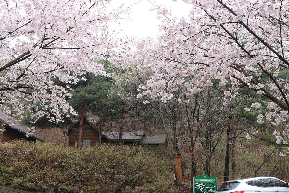 국립운장산자연휴양림 야영장 이미지
