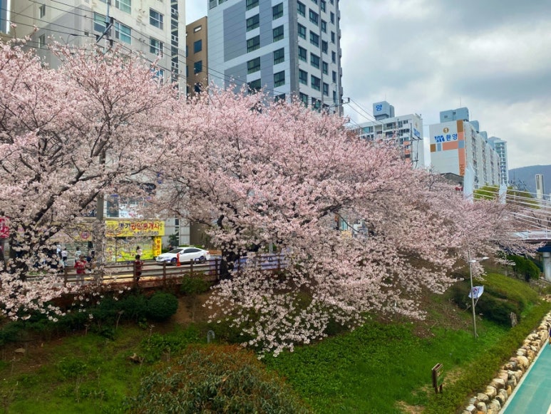 동성루 이미지