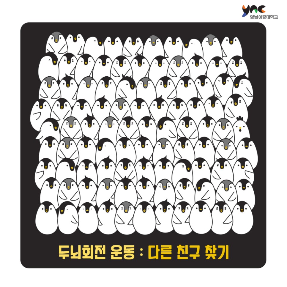 가든플라워 이미지
