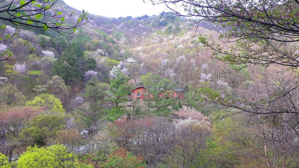 국립운장산자연휴양림 야영장 이미지