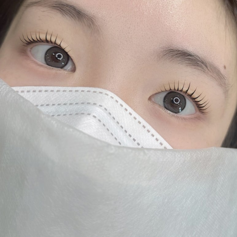 제주솔 이미지