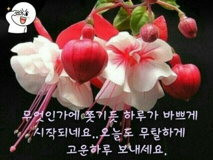 만사형통 이미지