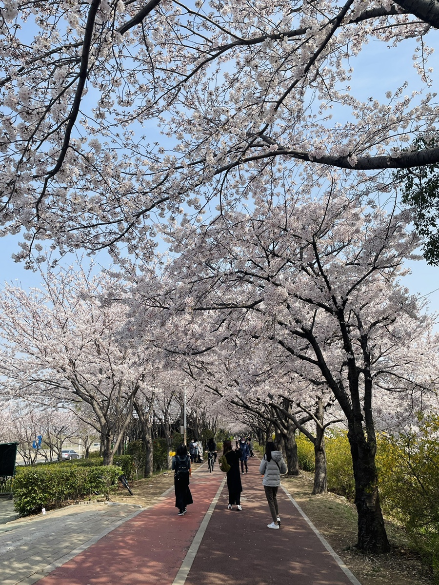 삼락주유소 이미지