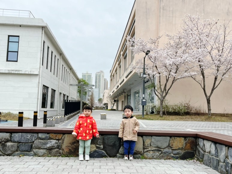 카페506 이미지