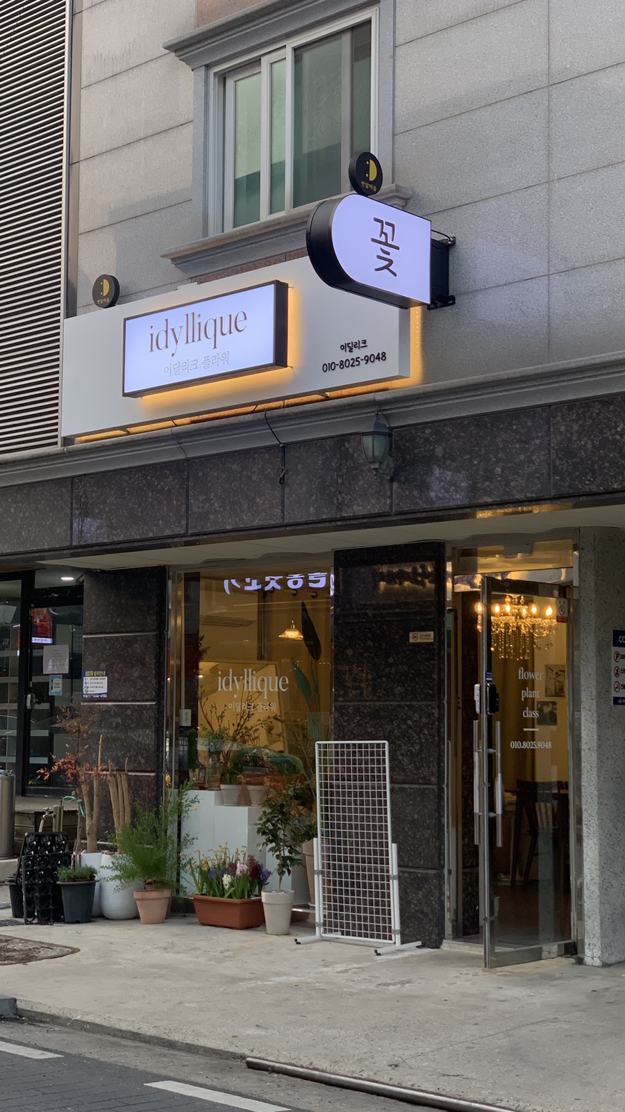 이딜리크 이미지