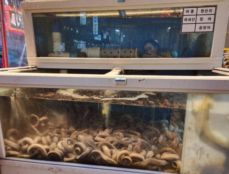 부산자갈치왕꼼장어 이미지