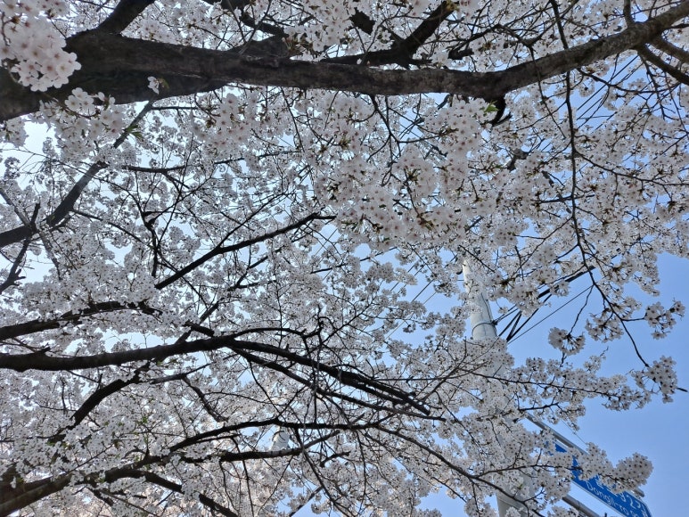 하루파출부 이미지