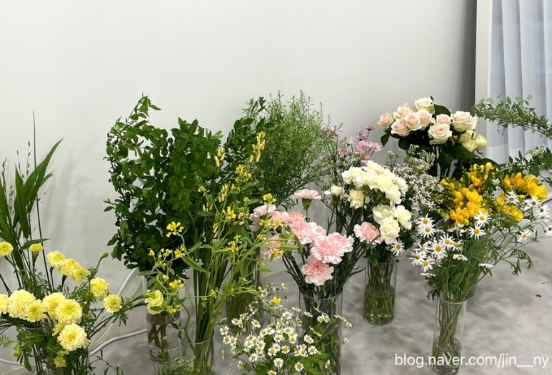 땅트플레르 이미지
