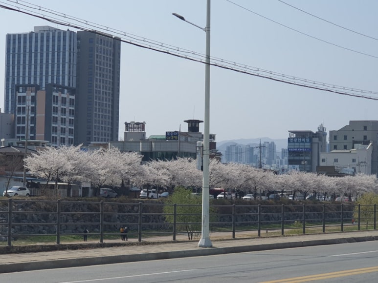 휴먼시아할인마트 이미지