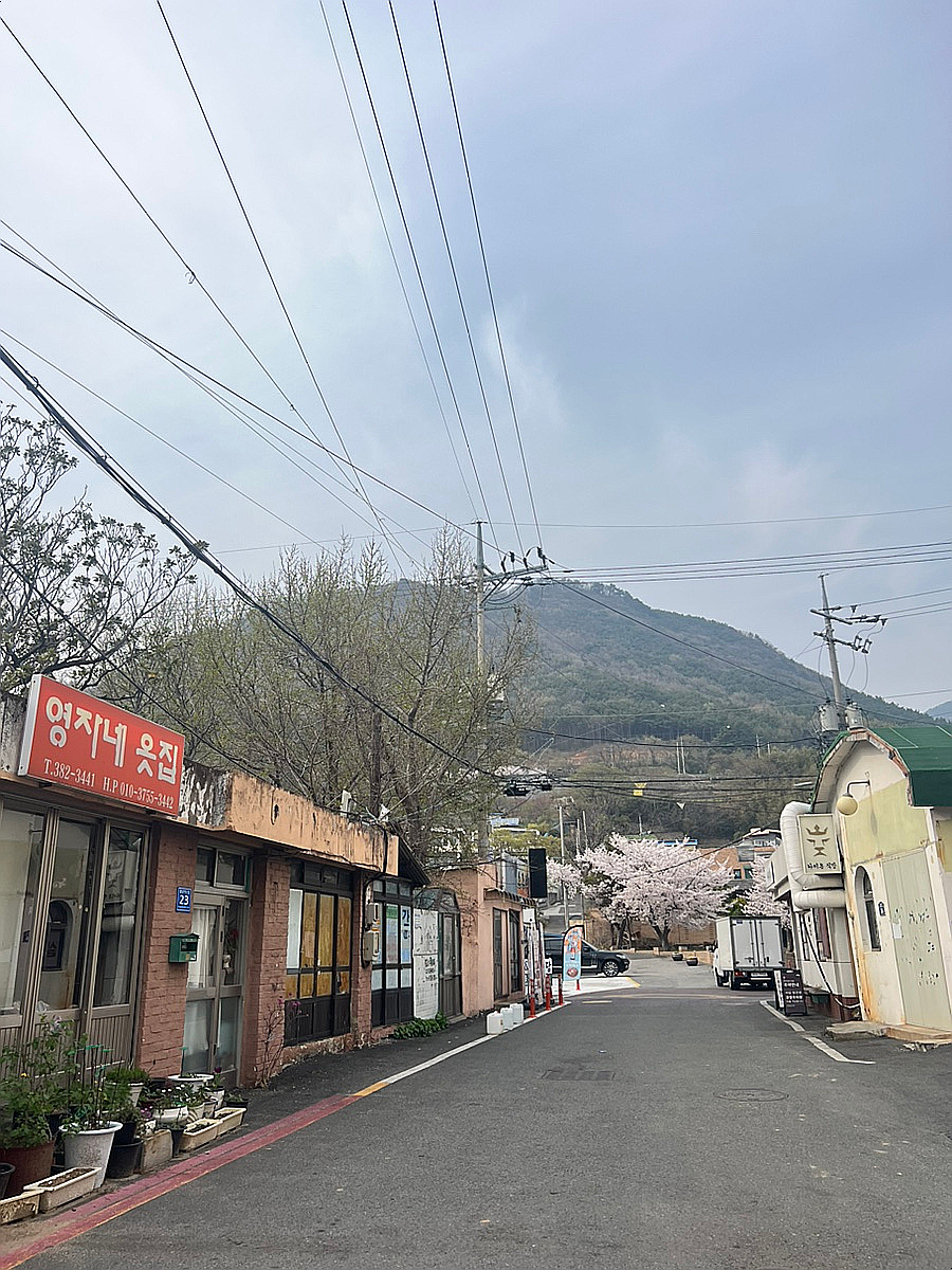 피움채 이미지