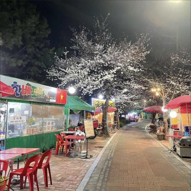 벚꽃포장마차 이미지
