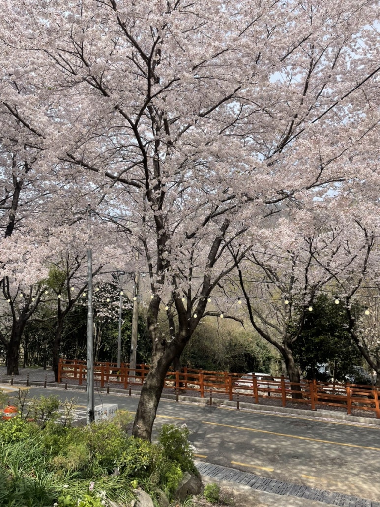 카페카사벨라 이미지