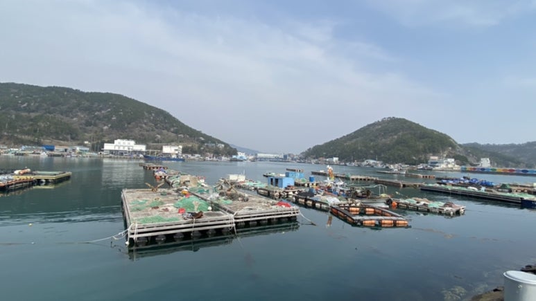 미조항식품 이미지