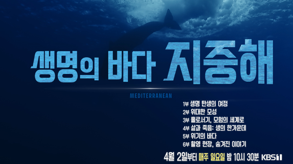 지중해 전이야기 이미지