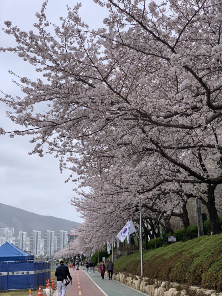 우마이라멘연산가족점 이미지