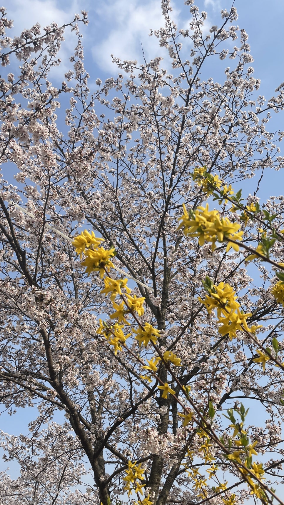 １２３노래방 이미지