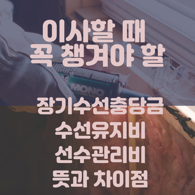 밸류수선 이미지