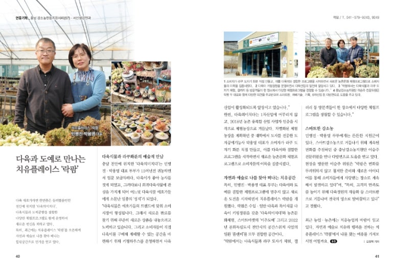 다육의미치다 이미지