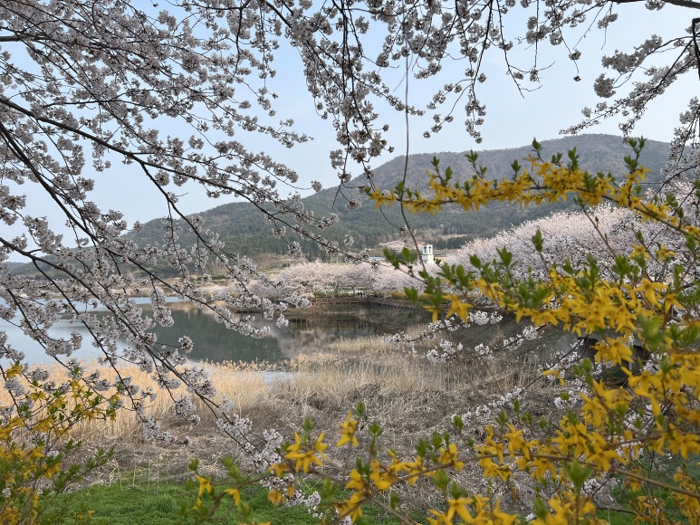 금오도별밤지기펜션 이미지